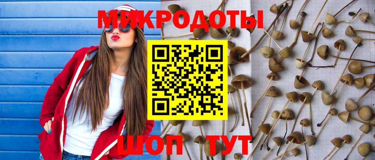 Советский  Псилоцибиновые грибы прущие грибы  Вход с VPN  Псилоцибиновые грибы Cubensis 